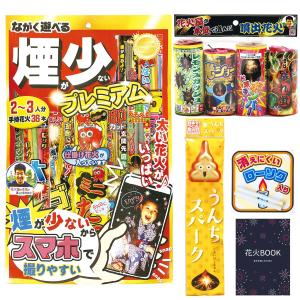 花火 セット 手持ち花火 はなび 線香花火 噴出花火 煙が少ないプレミアム うんち花火 噴出