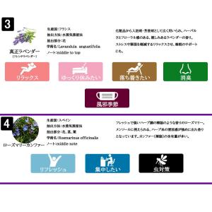 エッセンシャルオイル 精油 セット 5ml×6...の詳細画像2