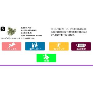 水溶性アロマオイル エッセンシャルオイル セッ...の詳細画像4
