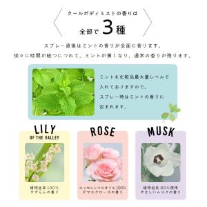 ボディミスト 100ml / 冷感スプレー 冷...の詳細画像3