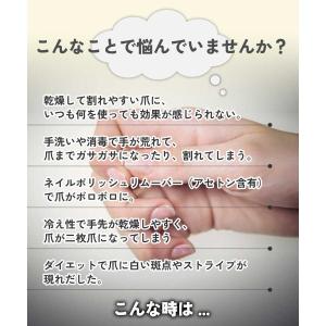 ネイルオイル 植物性 / シアバター ネイルオ...の詳細画像2
