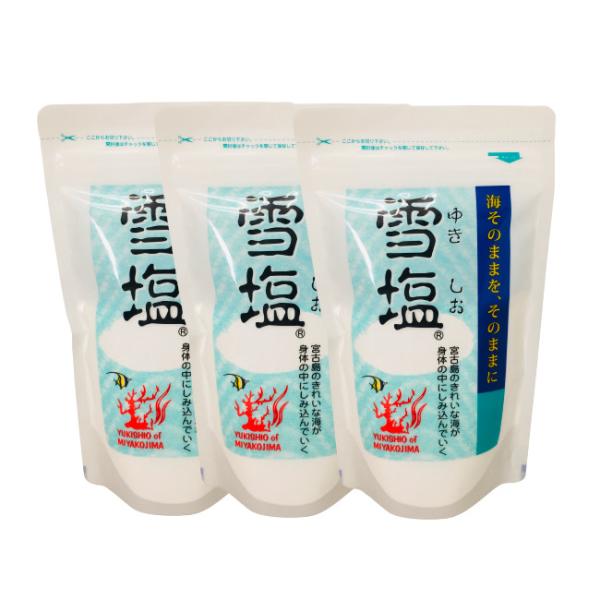 雪塩 120g × 3袋セット / 沖縄 宮古島 ミネラル 塩 パウダーソルト /