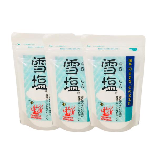 雪塩 60g × 3袋セット / 沖縄 宮古島 ミネラル 塩 パウダーソルト /