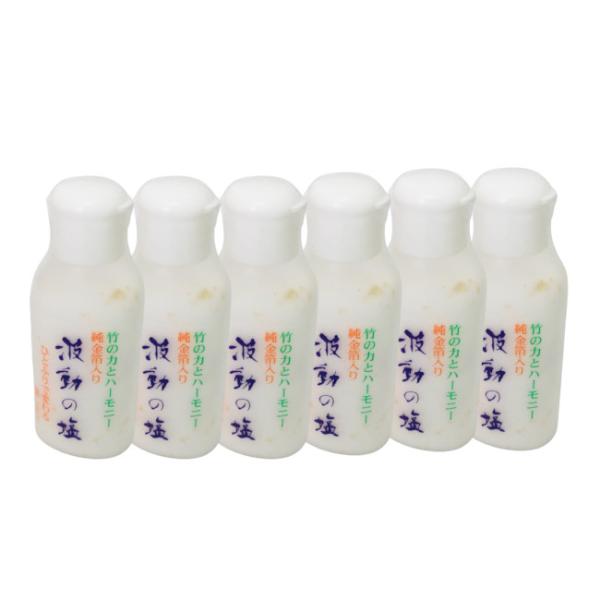 波動法製造 波動の塩 40g 6個セット