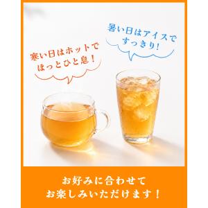TV大好評! するするぽん茶 4g×30包 ス...の詳細画像4