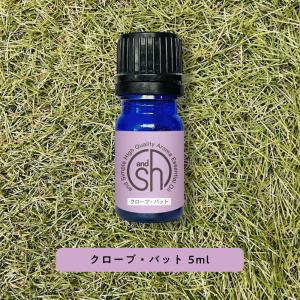 エッセンシャルオイル 精油 クローブバッド 5ml AEAJ表示基準適合認定精油 アロマ &SH +lt3+｜bluechips