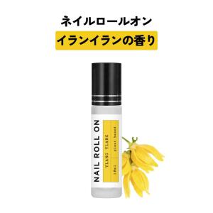 アロンザ エックスポインツレスキュー 25g 美心舎 wp : スタイル