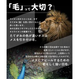 カラーワックス 黒 / NTCW ナチュラル ...の詳細画像5