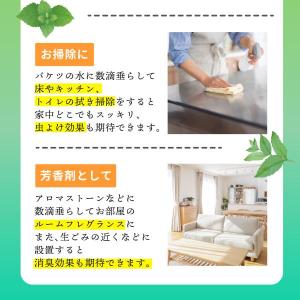 ハッカオイル ハッカ油 天然 薄荷油 10ml...の詳細画像4