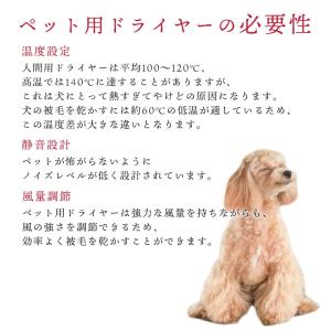 正規品 復元ドライヤーPET 日本 犬 ハンズ...の詳細画像2