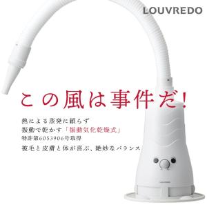 正規品 復元ドライヤーPET 日本 犬 ハンズ...の詳細画像3