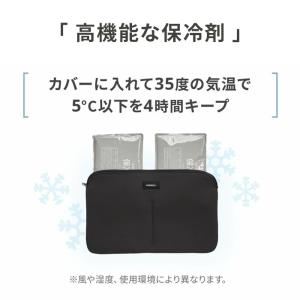 AIRBUGGY エアバギー wizX DOM...の詳細画像5