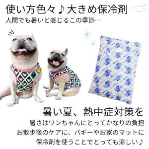 保冷剤 畜冷剤 犬用 ペット用 大きめ 500...の詳細画像2