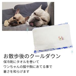 保冷剤 畜冷剤 犬用 ペット用 大きめ 500...の詳細画像3