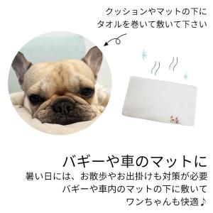 保冷剤 畜冷剤 犬用 ペット用 大きめ 500...の詳細画像4