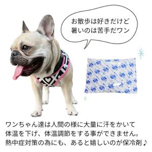 保冷剤 畜冷剤 犬用 ペット用 大きめ 500...の詳細画像5
