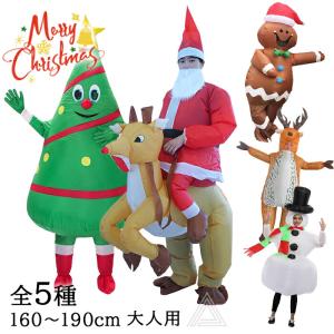 ヒプノシスマイク 風天谷奴 零 どついたれ本舗 コスプレ衣装 ウィッグ