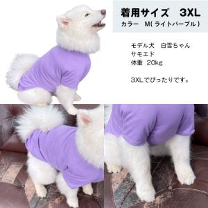 大型犬 服 犬 秋冬 服 綿100% Tシャツ...の詳細画像2