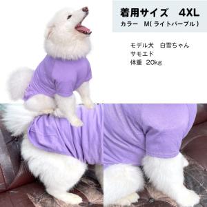 大型犬 服 犬 秋冬 服 綿100% Tシャツ...の詳細画像3