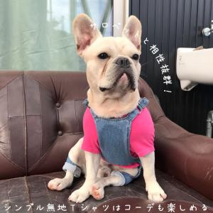 シンプル Tシャツ 無地 コットン デイリーT...の詳細画像2