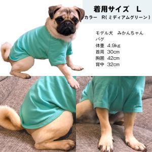シンプル Tシャツ 無地 コットン デイリーT...の詳細画像4