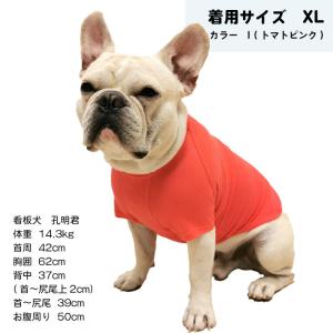 シンプル Tシャツ 無地 コットン デイリーT...の詳細画像5