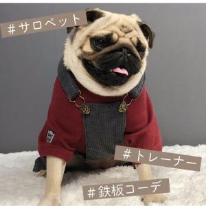 ランキング1位 新色追加 犬服 スウェットTシ...の詳細画像4