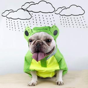 犬 服 レインコート カエル フリーサイズ フレンチ フレンチブルドッグ コーギー カッパ 雨の日も散歩 撥水 濡れない 雨具 雨服 KM206OP