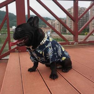 ヤンキー服 犬服 アクセサリー の商品一覧 犬用品 ペット用品 生き物 通販 Yahoo ショッピング