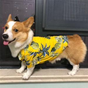 ヤンキー服 犬服 アクセサリー の商品一覧 犬用品 ペット用品 生き物 通販 Yahoo ショッピング