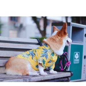 ヤンキー服 犬服 アクセサリー の商品一覧 犬用品 ペット用品 生き物 通販 Yahoo ショッピング