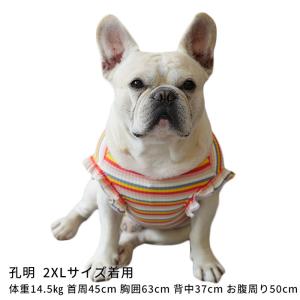 犬服 チェリー刺繍タンクトップ スカート キャ...の詳細画像1