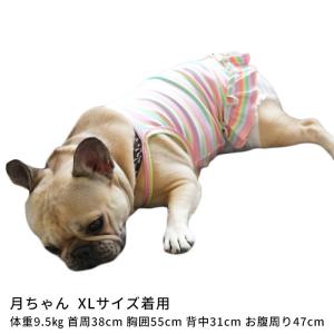 犬服 チェリー刺繍タンクトップ スカート キャ...の詳細画像2