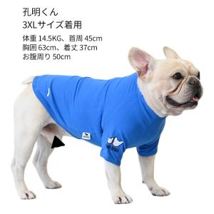 ワンコインSALE 犬 服 秋 冬 半袖 Tシ...の詳細画像4