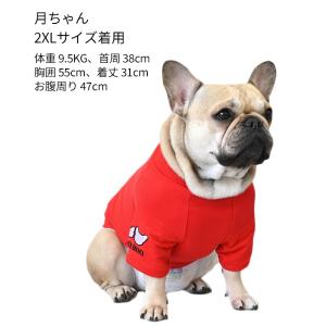 ワンコインSALE 犬 服 秋 冬 半袖 Tシ...の詳細画像5