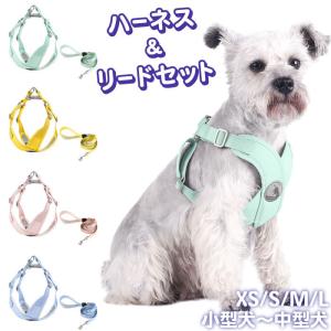 犬 ハーネス リードセット リード付き パステルカラー マカロンカラー Vネック 痛くない 中型犬 小型犬 軽量 サイズ調整  メッシュ 散歩 普段使い KM671G