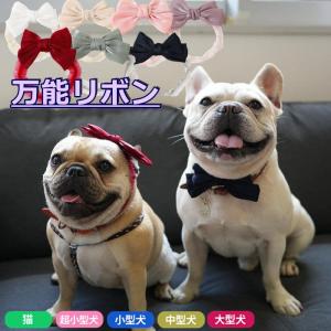 タータ Ta-Ta 126g 犬用サプリメント : BRハウス Yahoo!店 - 通販