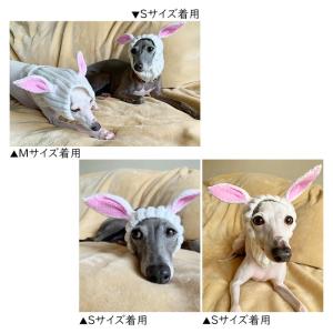 犬 ニット帽 秋冬 ペット帽子 コスチューム ...の詳細画像2