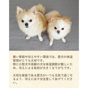【返品交換不可】小型犬サイズ追加 犬用腹巻き ...の詳細画像4