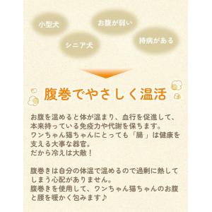 【返品交換不可】小型犬サイズ追加 犬用腹巻き ...の詳細画像5