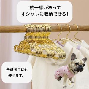10本セット ペットハンガー 犬服用ハンガー ...の詳細画像2