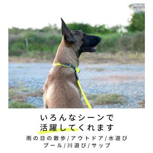 Truelove 防水リード 犬 ウォータープ...の詳細画像2