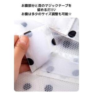 犬 レインコート ケープタイプ パンダ耳 ドッ...の詳細画像3