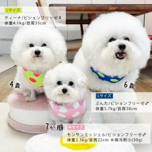 NEW クールネック 犬 新柄追加 リップスト...の詳細画像5