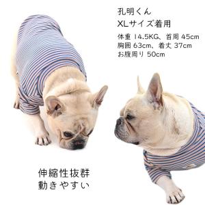 新色追加 ふんわり 起毛素材 ボーダー Tシャ...の詳細画像3