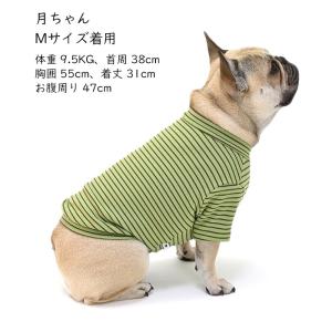 新色追加 ふんわり 起毛素材 ボーダー Tシャ...の詳細画像4