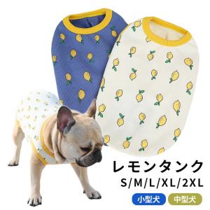 犬服 ボーダータンクトップ フレブル パグ フレンチブルドッグ 春 夏