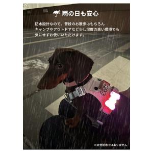 犬用 LED ライト 光 リボン型 やさしい光...の詳細画像4