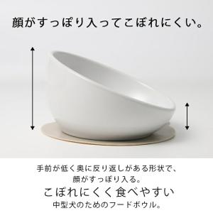 犬 エサ ハリオ HARIO MARUプレ2 ...の詳細画像3