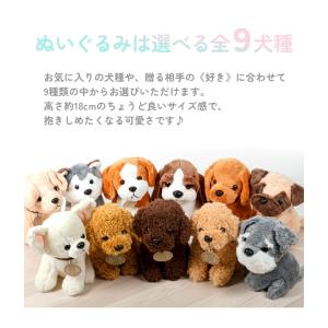 犬 ぬいぐるみ レインボーローズブーケ セット...の詳細画像2